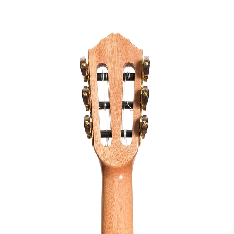 Tiki 6 String Mahogany Solid Top Electric Ukulele with Hard Case (Natural Gloss)-T6E/C-NGL